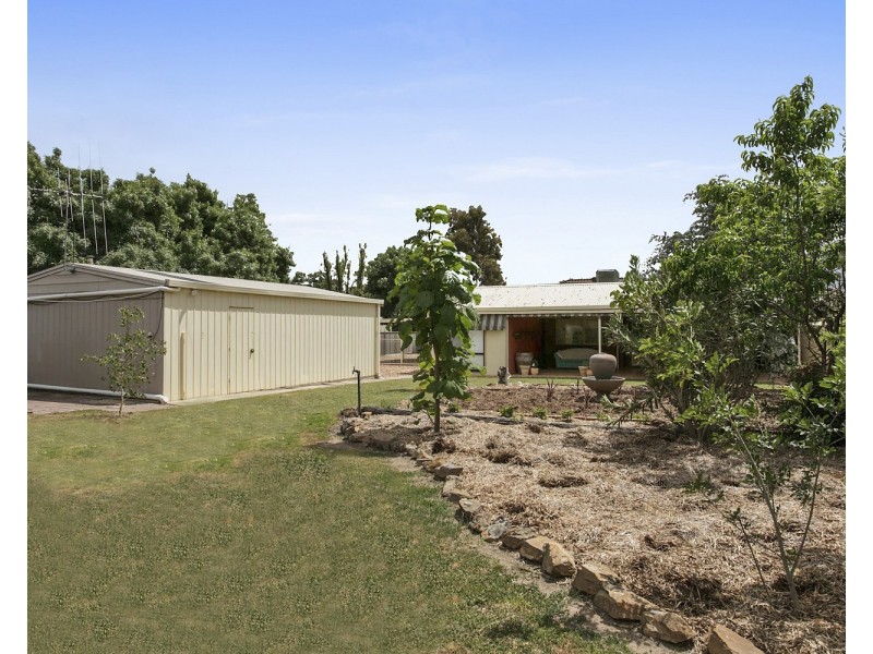 20 Arrawalli Avenue, Ascot VIC 3551