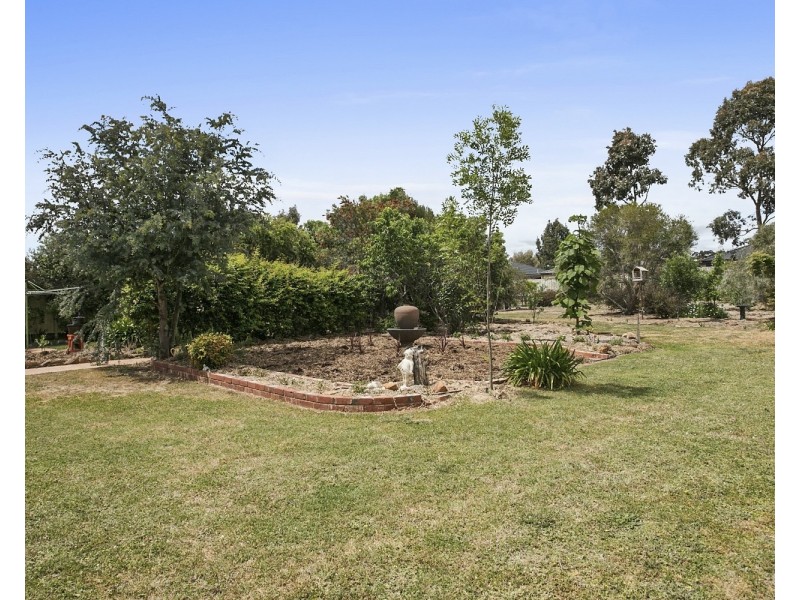 20 Arrawalli Avenue, Ascot VIC 3551