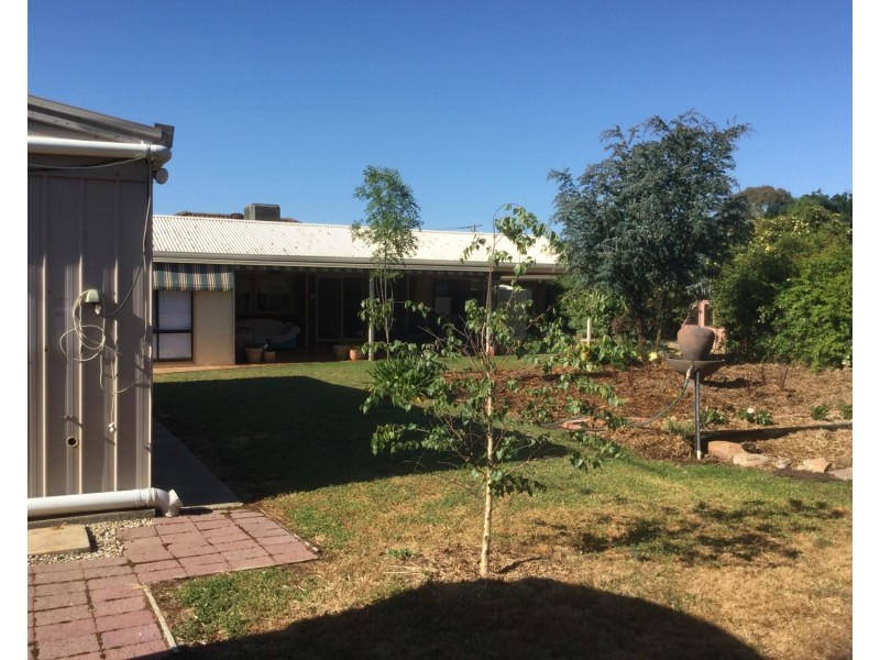 20 Arrawalli Avenue, Ascot VIC 3551