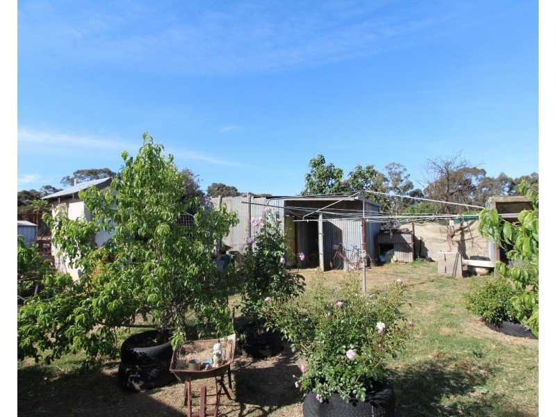 5 Sullivan Street, Inglewood VIC 3517