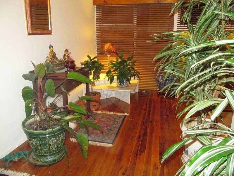 24 Barlow Street, Canley Heights NSW 2166