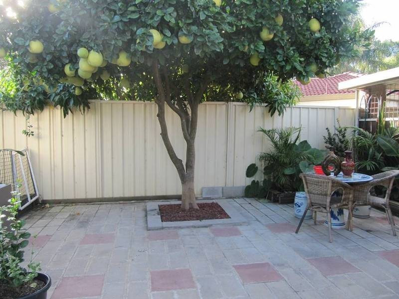 8 Hampshire Place, Wakeley NSW 2176