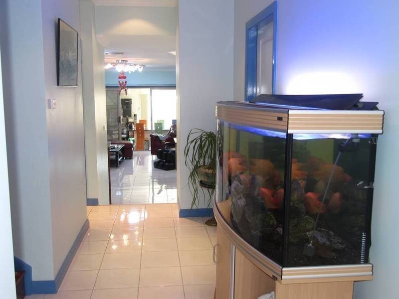 114 Cardwell Street, Canley Vale NSW 2166