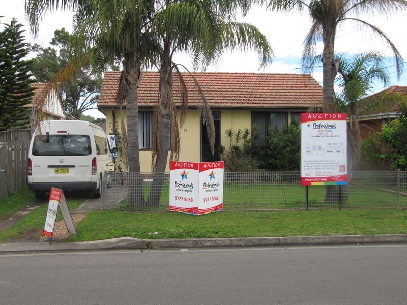 17 Salisbury Street, Canley Heights NSW 2166