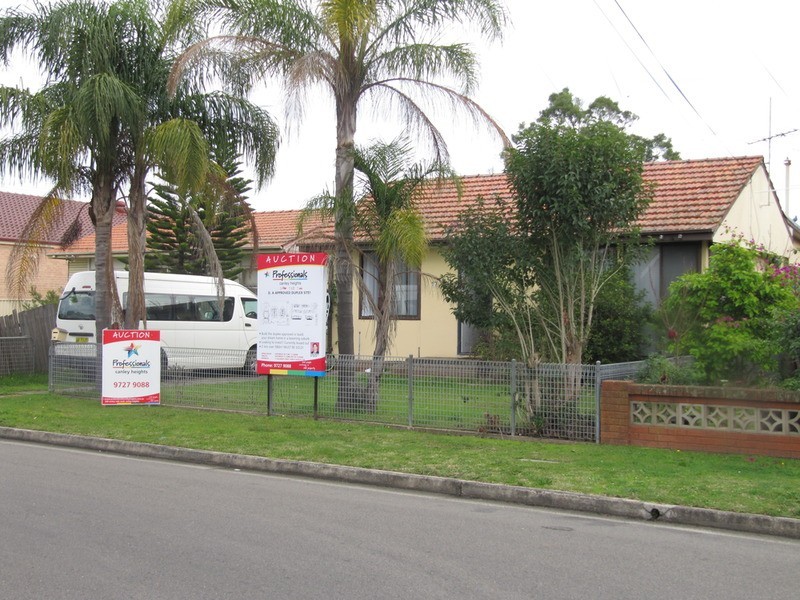17 Salisbury Street, Canley Heights NSW 2166