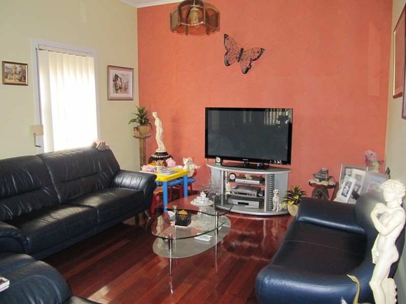 217 St Johns Road, Canley Heights NSW 2166