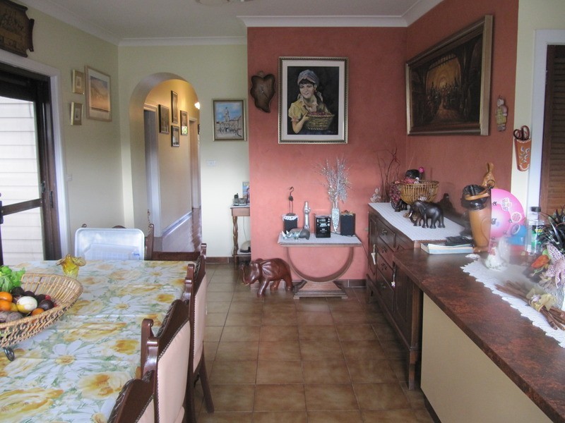 217 St Johns Road, Canley Heights NSW 2166