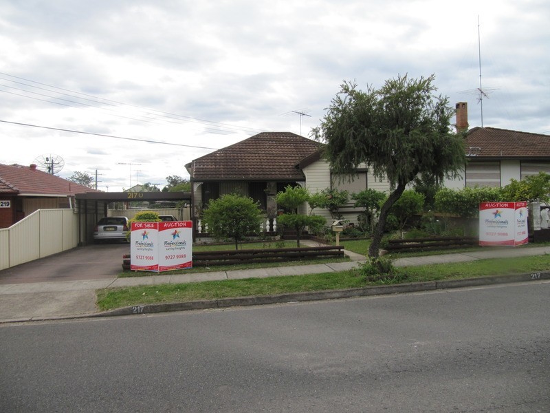 217 St Johns Road, Canley Heights NSW 2166