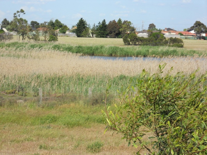 50 Signature Boulevard, Sanctuary Lakes VIC 3030