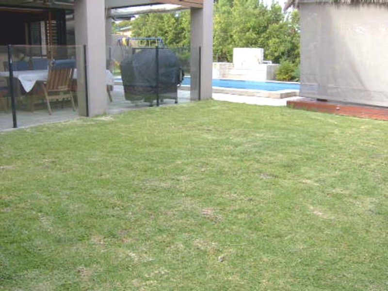 7 Eastbourne Chase, Arundel QLD 4214