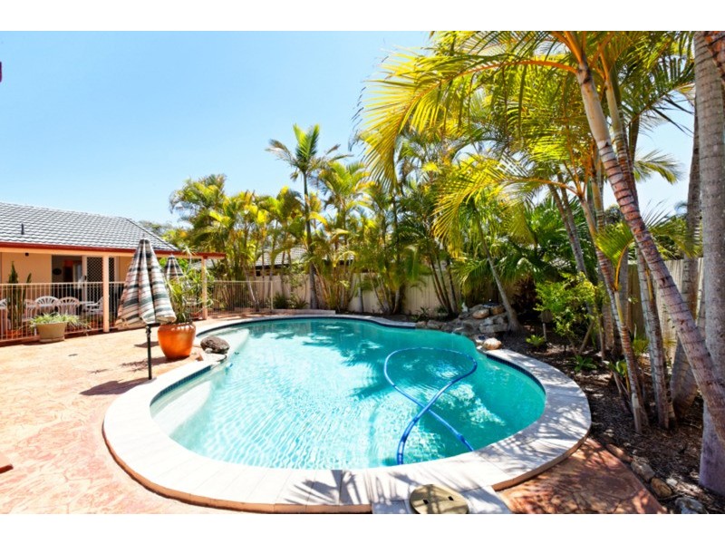 17 Cathedral  Avenue, Molendinar QLD 4214