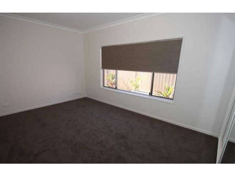 49 Zane Street, Molendinar QLD 4214