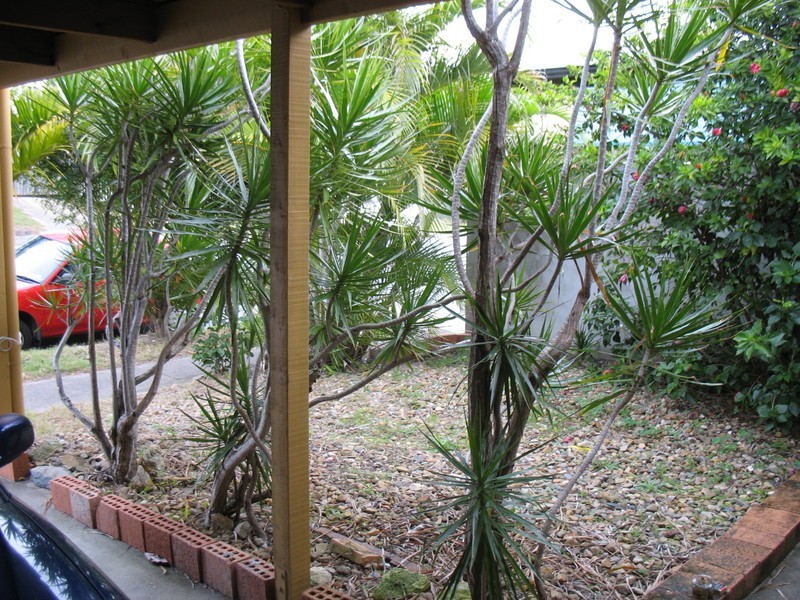 21 Bondi Avenue, Mermaid Beach QLD 4218
