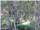 1 Bayswater Avenue, Varsity Lakes QLD 4227