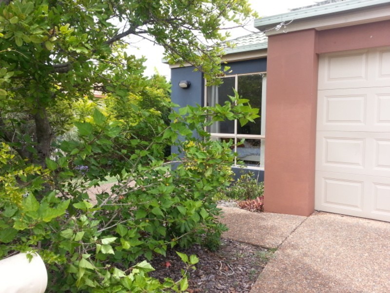 13 Solitaire Place, Robina QLD 4226