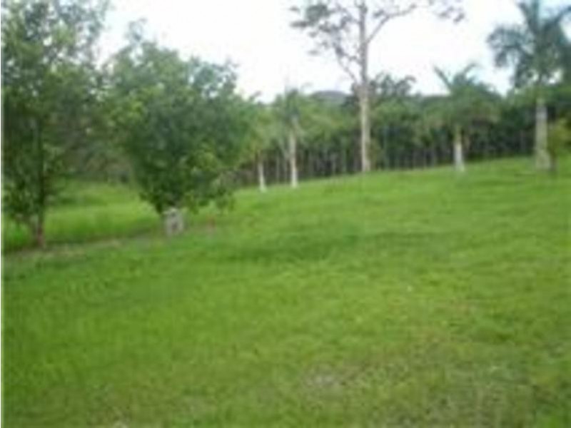 49 Bonnie Brae Drive, Maudsland QLD 4210