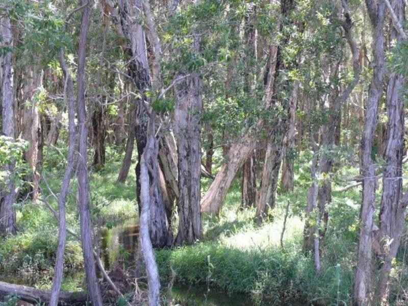 1 Bayswater Avenue, Varsity Lakes QLD 4227