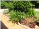 46 Veronica Drive, Tallai QLD 4213