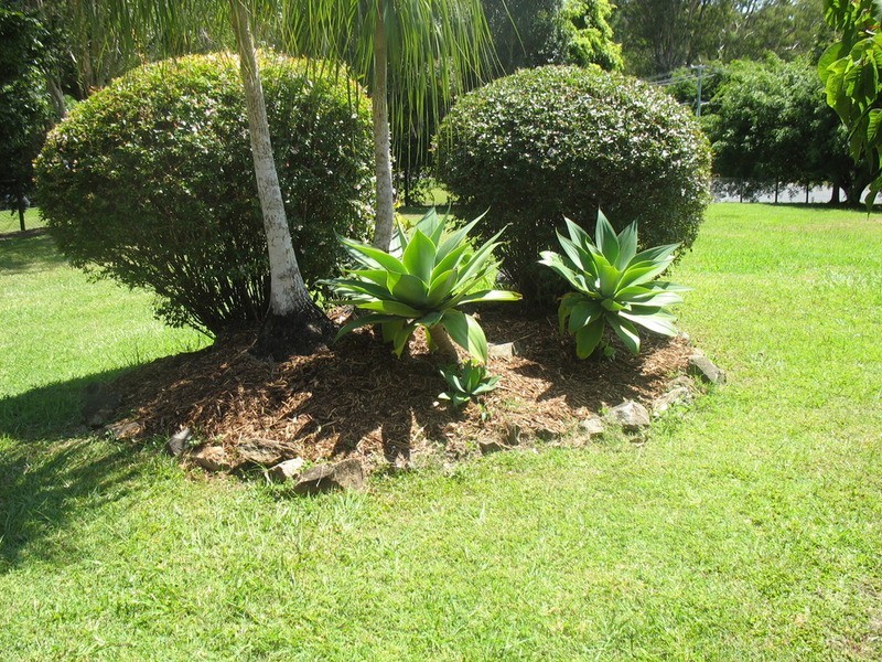 46 Veronica Drive, Tallai QLD 4213