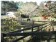 11 Alawara Drive, Tallai QLD 4213