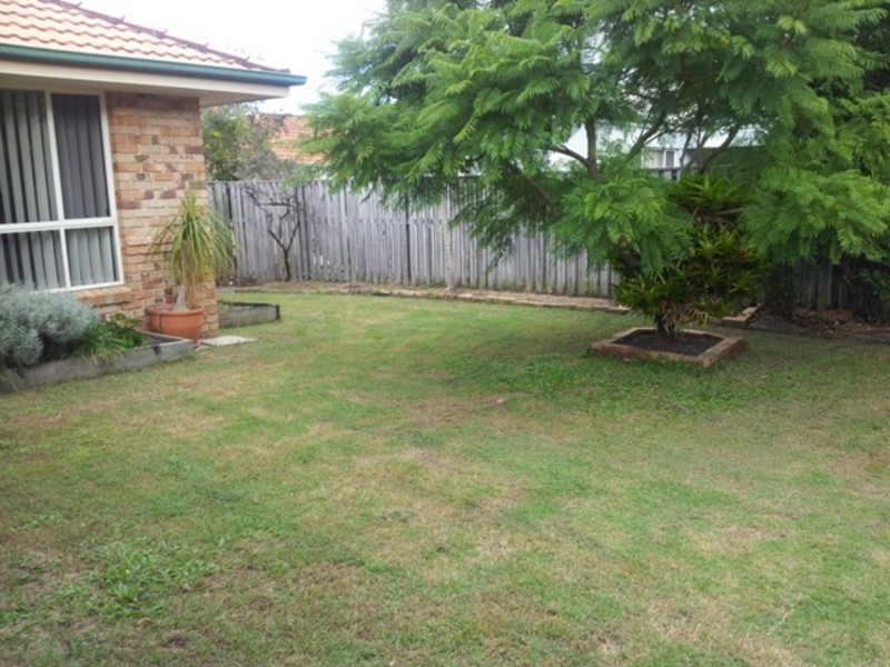 4 Wildfire Circuit, Robina QLD 4226