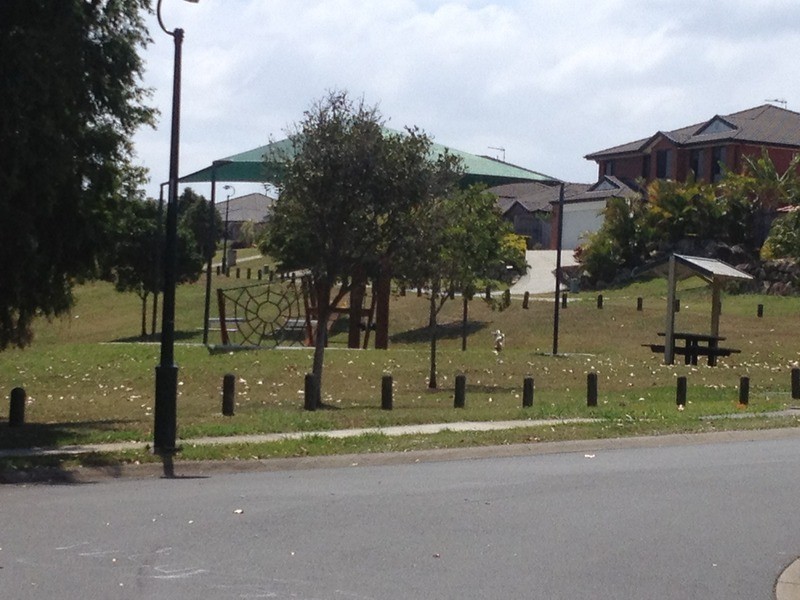 16 Rix Drive, Upper Coomera QLD 4209