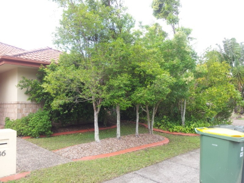 86 Harrier Drive, Burleigh Waters QLD 4220