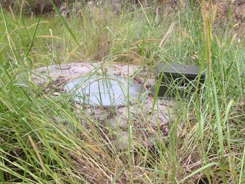 1 Charles Court, Bonogin QLD 4213