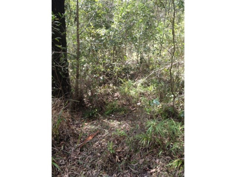 1 Charles Court, Bonogin QLD 4213