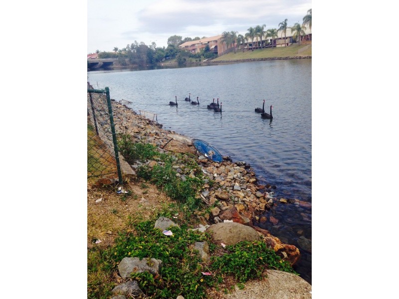 21 Seafoam  Close, Varsity Lakes QLD 4227