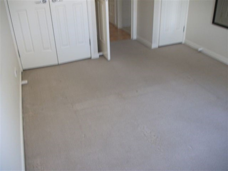 20/38 Petrel Avenue, Mermaid Beach QLD 4218