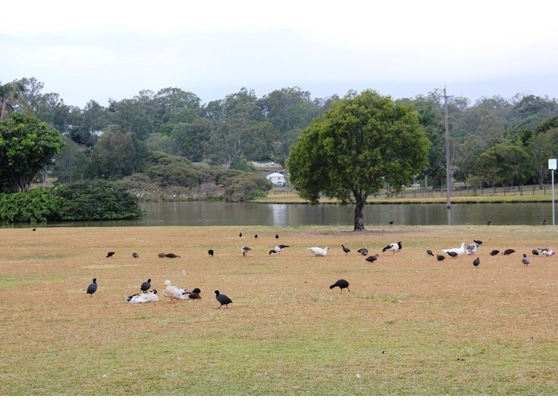 21 Moran Drive, Upper Coomera QLD 4209