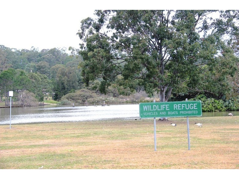 21 Moran Drive, Upper Coomera QLD 4209