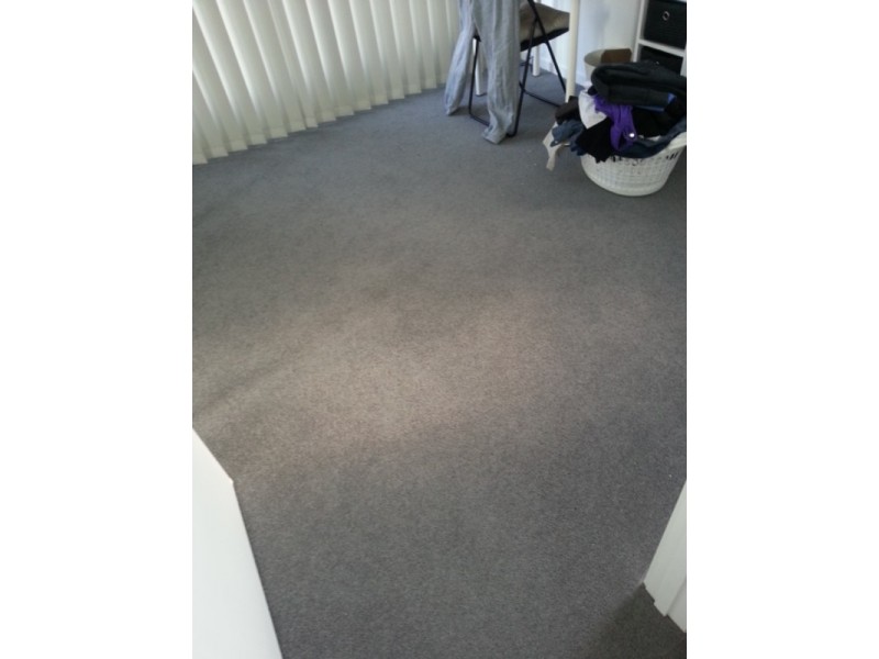 30 Fairlight Avenue, Robina QLD 4226