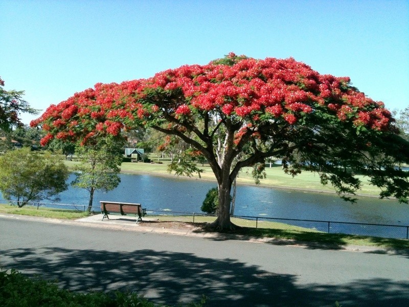 40/37 Paradise Springs Avenue, Robina QLD 4226