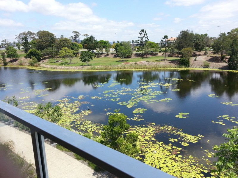 71 Parnell Boulevard, Robina QLD 4226
