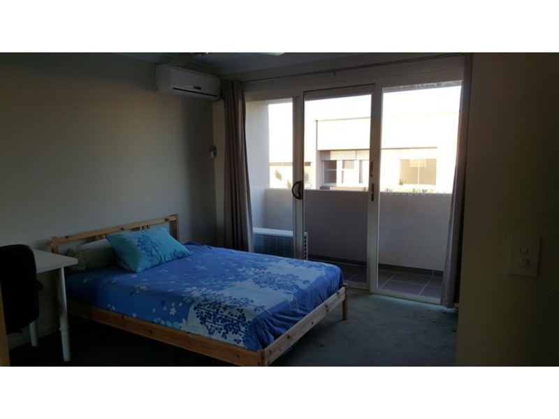 41 South Bay Drive, Varsity Lakes QLD 4227