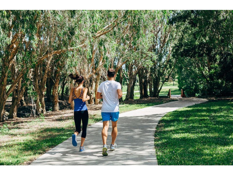 5 Florabella Drive, Robina QLD 4226