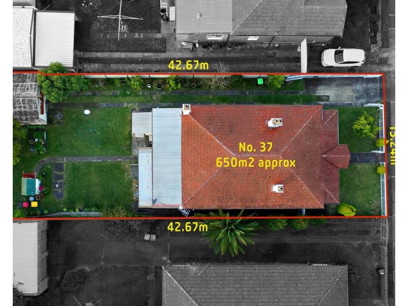 37 Collins Street, Belmore NSW 2192