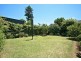 21 Wilson Avenue, Belmore NSW 2192