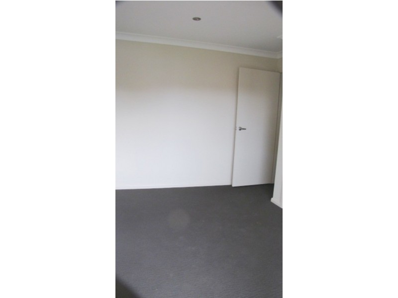 Belmore NSW 2192