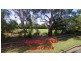 Punchbowl NSW 2196