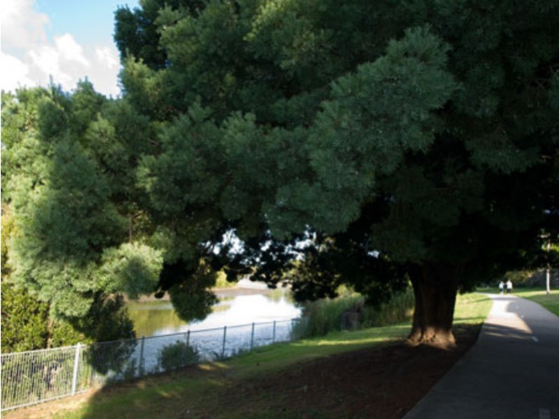 2/35 Church Street, Canterbury NSW 2193