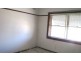 41 Alfred Street, Clemton Park NSW 2206