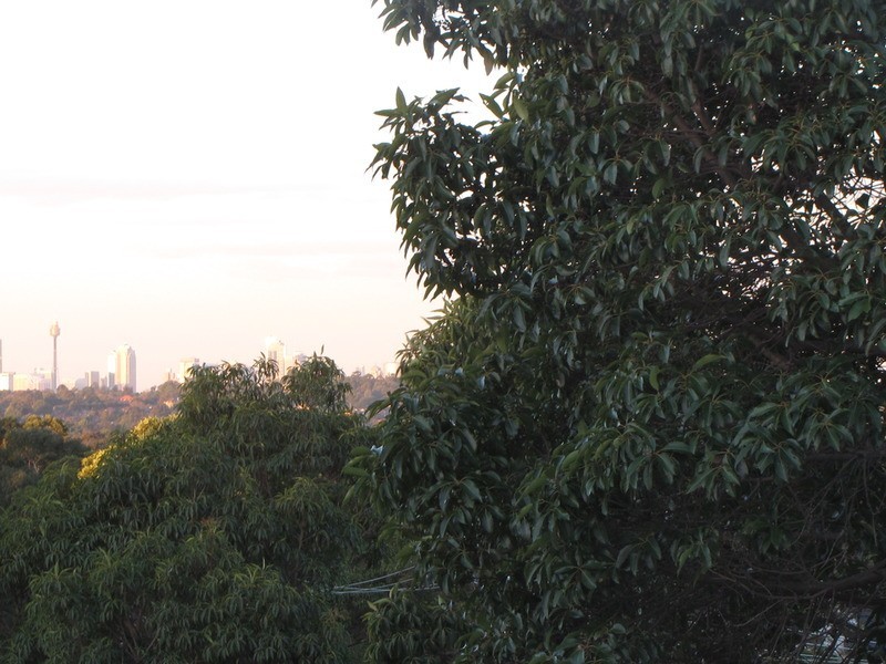 57A Knox Street, Belmore NSW 2192