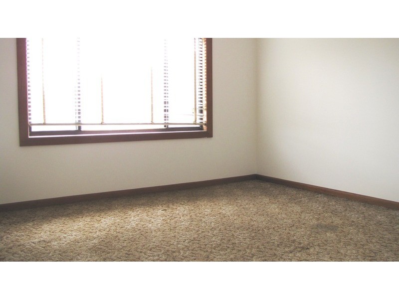 60 Lucerne Street, Belmore NSW 2192