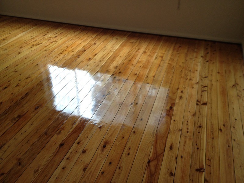 1/27 Tudor Street, Belmore NSW 2192