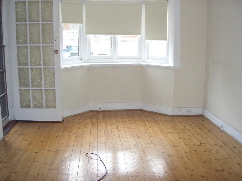 19 Olive Street, Kingsgrove NSW 2208