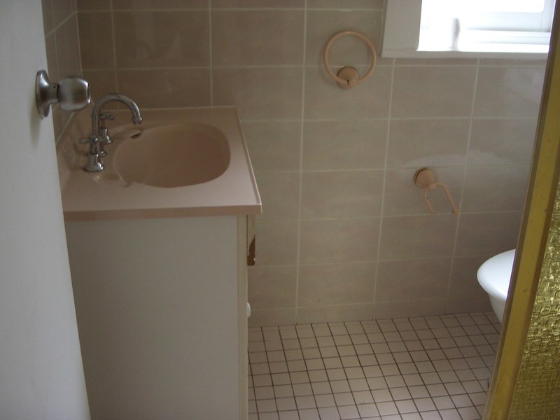 19 Olive Street, Kingsgrove NSW 2208