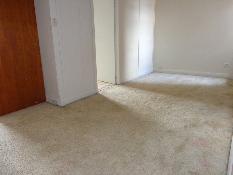 Rear/403 Burwood Road, Belmore NSW 2192